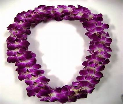 Image result for Hawaiian Flower Lei